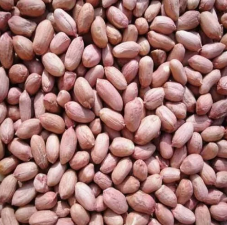 Valencia Peanut Seeds